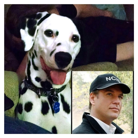 Meet your Posher, Julia - Picture 9 of 16